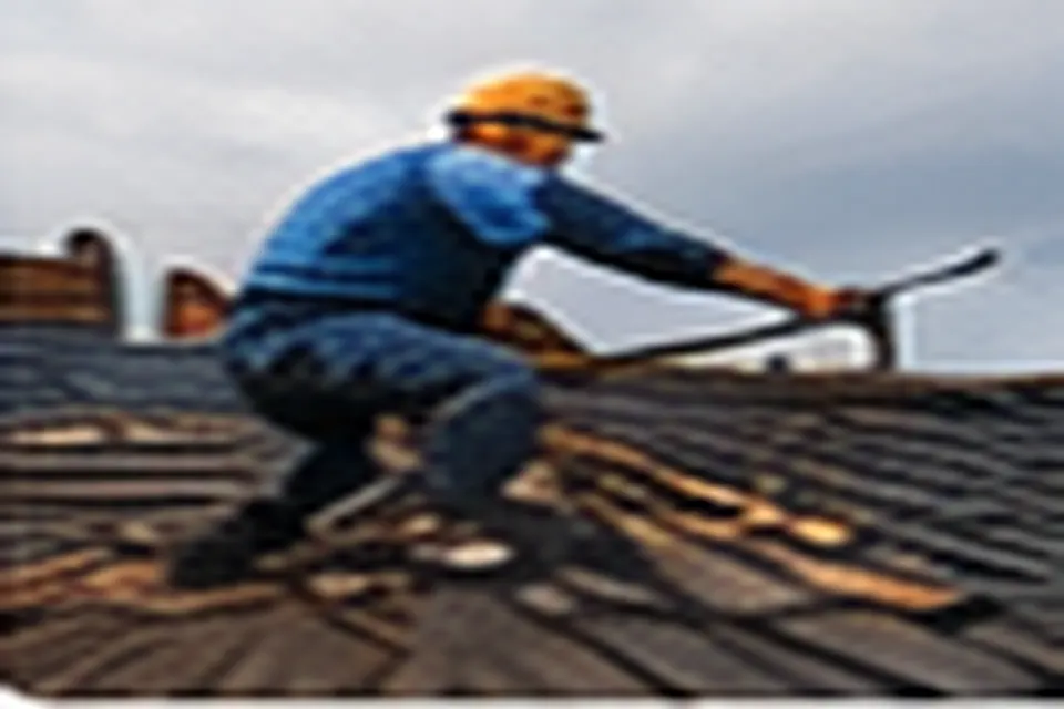 Inspection professionnelle d'une toiture