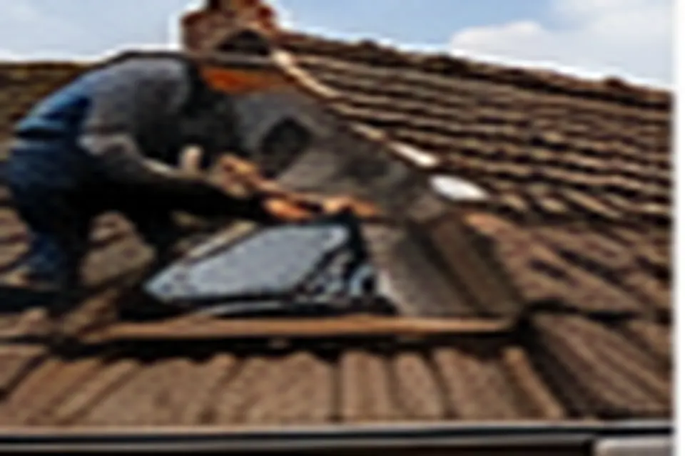 Maison avec toiture rénovée